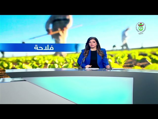 ⁣أم البواقي: أنموذج واعد لمستثمرة فلاحية