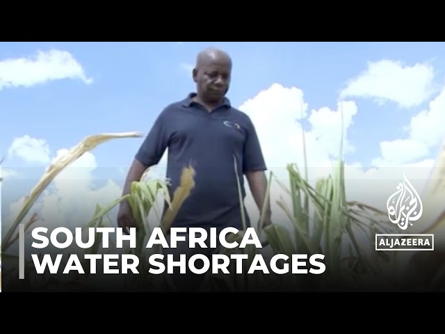 South African farmer Pete Mutepu grapples with financial troubles amid severe drought