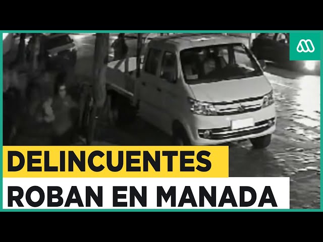 Asalto en “mandada”: Delincuentes atacaron en grupo a jóvenes estudiantes