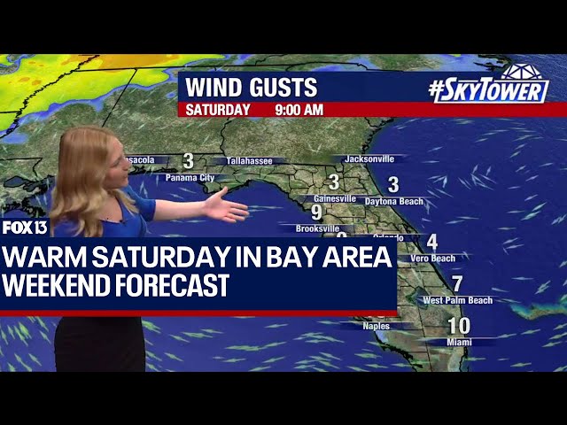 Tampa weather: Warm Saturday in Bay Area