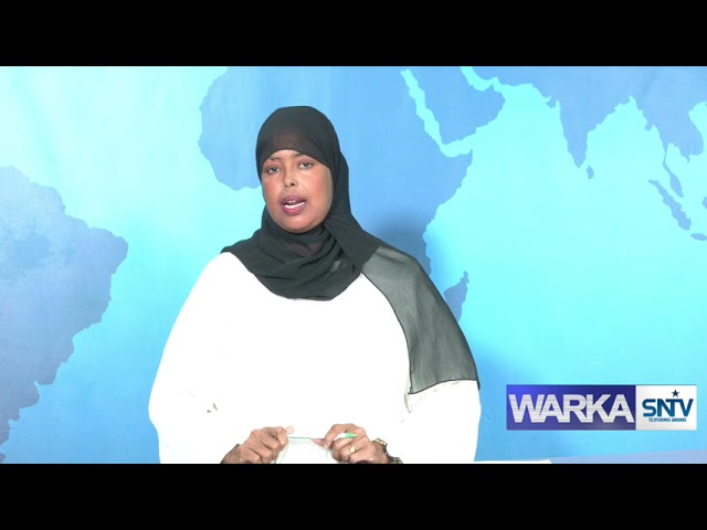 WARKA HABEEN EE SNTV 30 03 2024