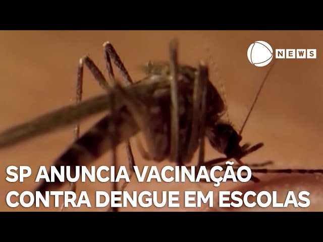 São Paulo anuncia vacinação contra dengue em escolas