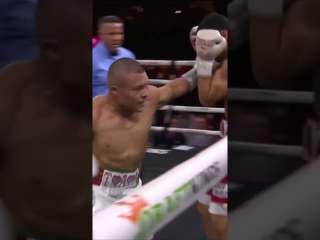 ¡'PITBULL' CRUZ pone a temblar a Romero desde el primer episodio!  #shorts