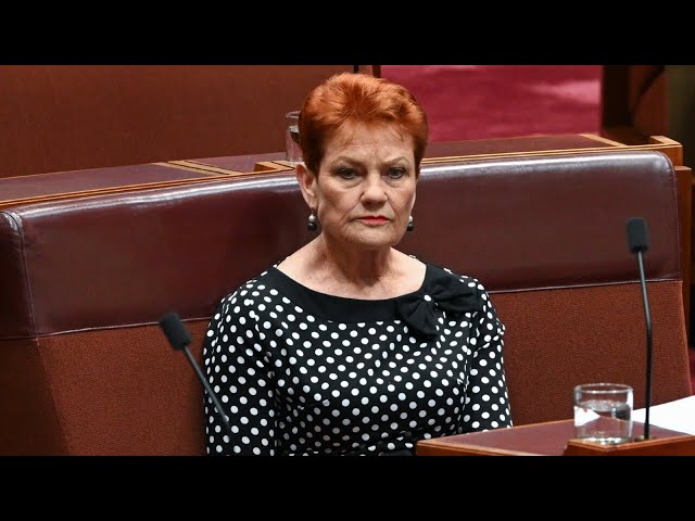 ‘Unfortunate’: Pauline Hanson has become almost the 'face’ of anti-immigration push