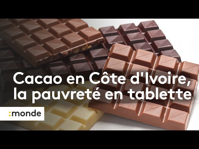 Cacao : la pauvreté en tablette