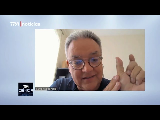 Entrevista via Zoom com Marco de Mello - Professor