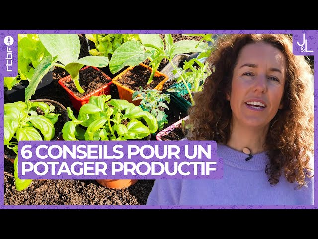 Potager : 6 conseils pour allier beauté et productivité | Jardins et Loisirs