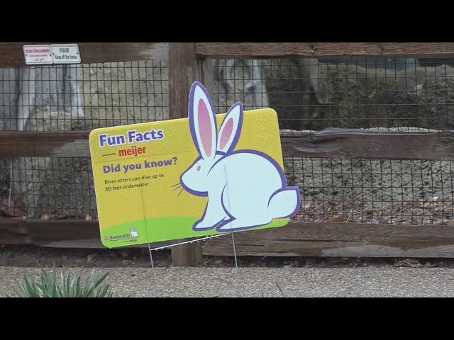 Detroit Zoo turns into "Bunnyville" for Easter