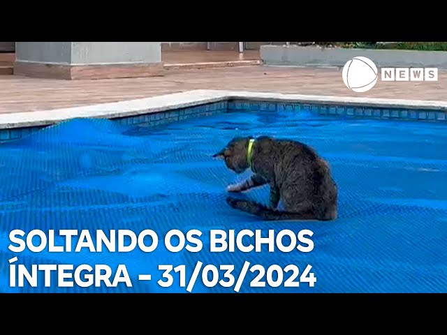 Soltando os Bichos - 31/03/2024