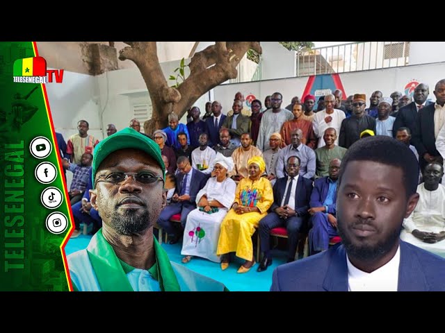 Révélations de Dr Cheikh Dieng: "Liniou Wakhanté Ak Sonko Biniouy Doug Coalition Diomaye...&quo