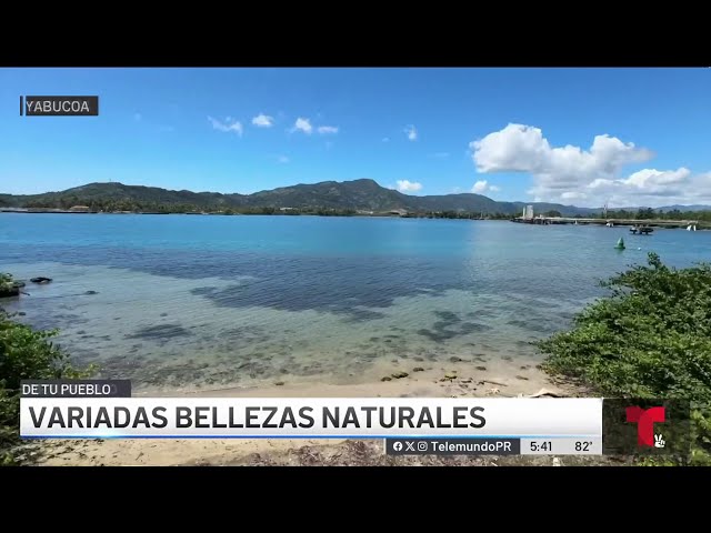 Bosque seco de Guayanés: uno de los encantos de Yabucoa