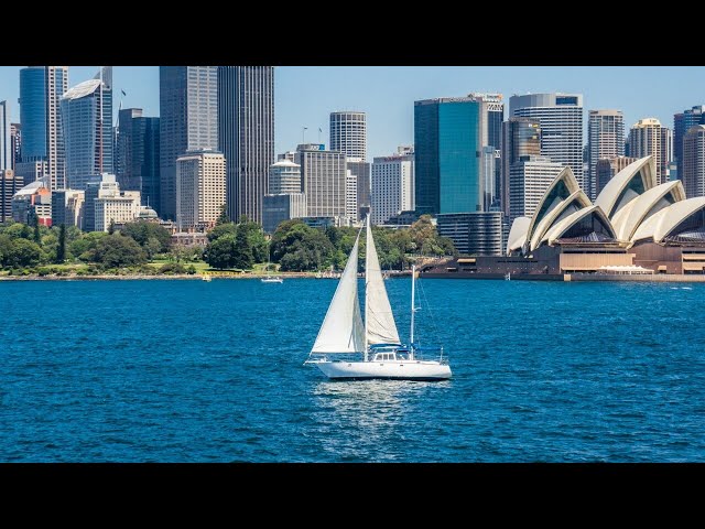 Sailor to attempt to break world record of fastest Sydney to Auckland trip