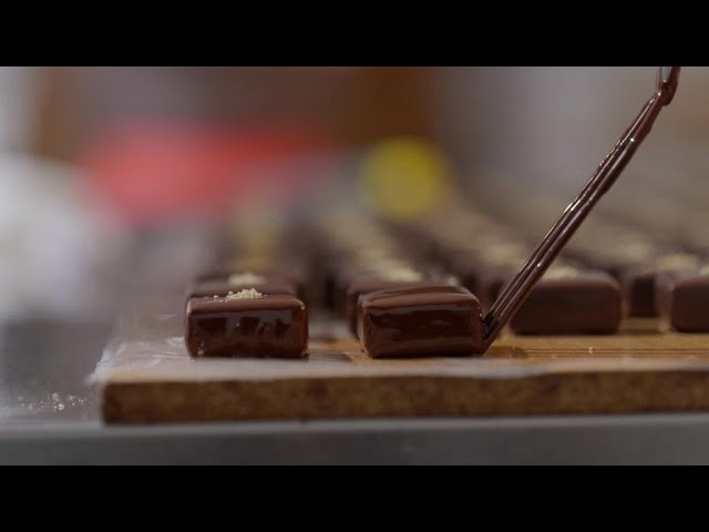 Chocolat éthique : de la fève à la tablette • FRANCE 24