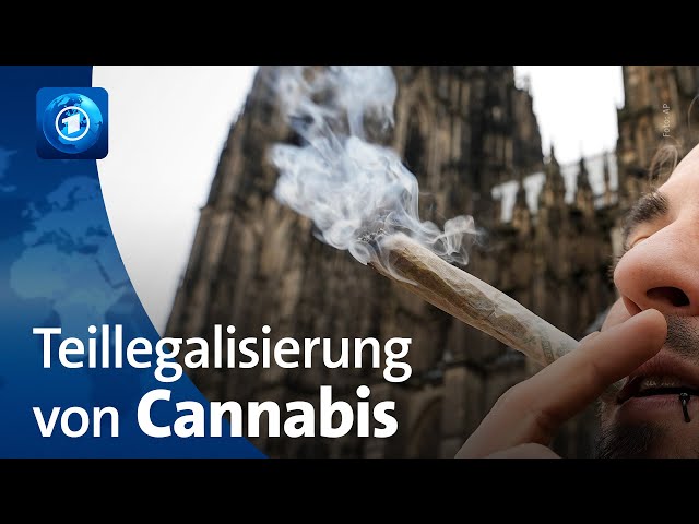 Volljährige können in Deutschland legal Cannabis besitzen und konsumieren