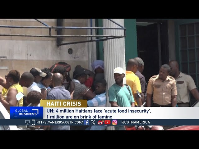 ⁣Global Business: Haitians Wait for Transition as Violence Continues