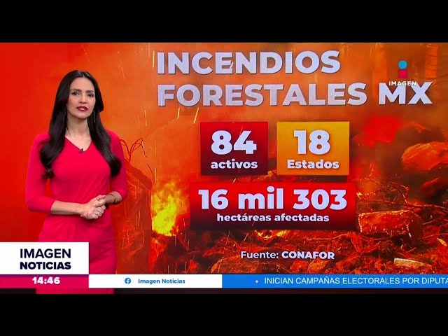 Al momento se reportan 84 incendios forestales | Noticias con Crystal Mendivil