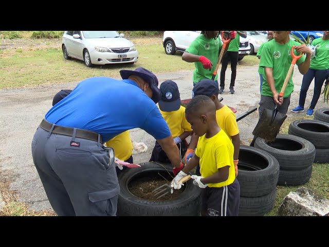 Boy Scouts going green