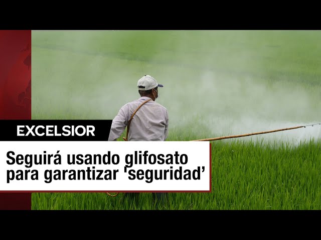 México posterga la prohibición del glifosato en México