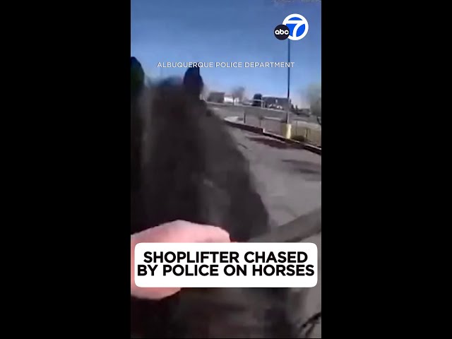 ⁣Shoplifter chased by police on horses in New Mexico