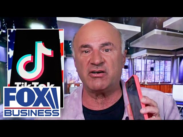 Kevin O’Leary has a ‘burner’ phone for TikTok ‘spyware’