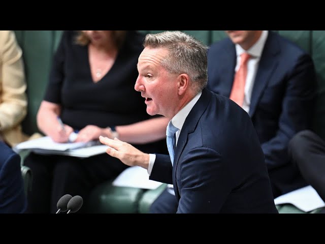 ‘Come on and tell us your policy’: Chris Bowen issues nuclear challenge to Coalition