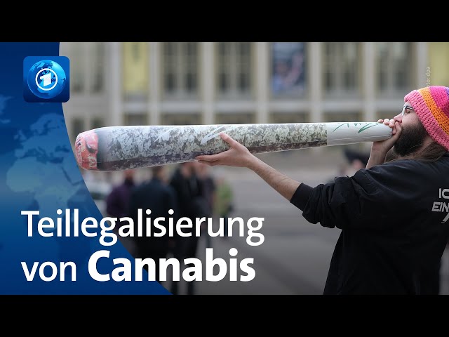 Teillegalisierung von Cannabis