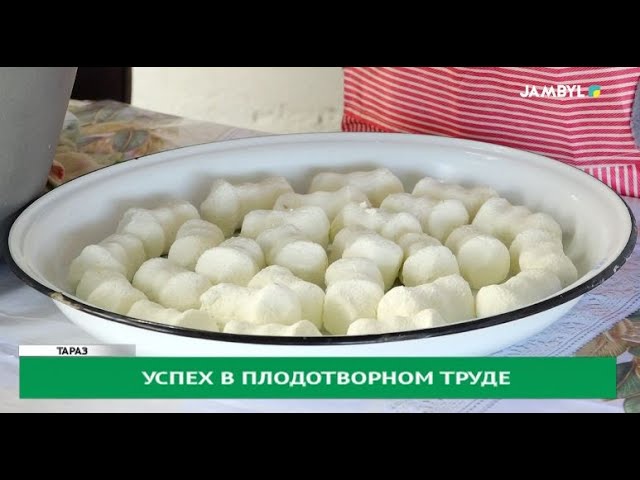 ⁣Успех в плодотворном труде