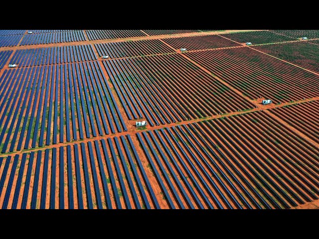 Chinese renewables ‘garbage’ being ‘dumped’ onto Australian farmers