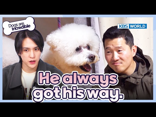 He always got his way [Dogs Are Incredible : EP.213-3] | KBS WORLD TV 240402