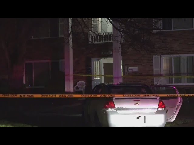 Eastpointe police investigating after 3 people shot