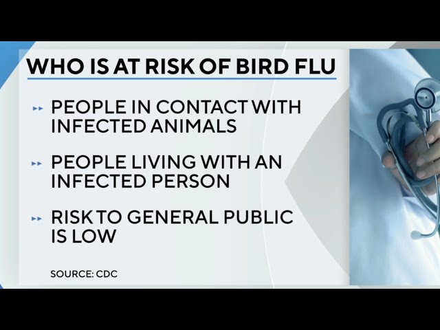 Human contracts bird flu for second time ever in U.S.