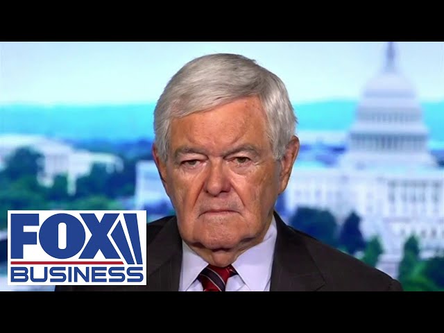 Every American should be worried about this 'deliberate political effort,' Gingrich warns