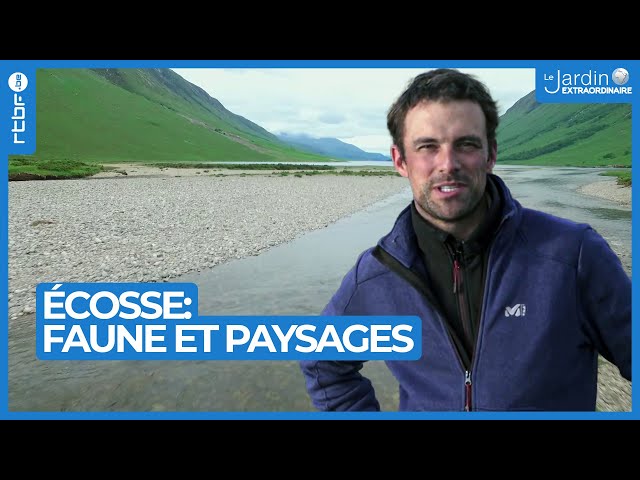 Ecosse : paysages magnifiques et refuge d'une faune extraordinaire - Le Jardin Extraordinaire 