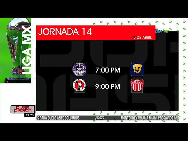 Estos son los encuentros de la jornada 14 de la Liga MX.