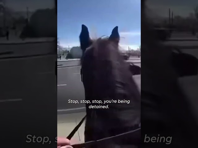 Police on horseback pursue and arrest suspected shoplifter #Shorts