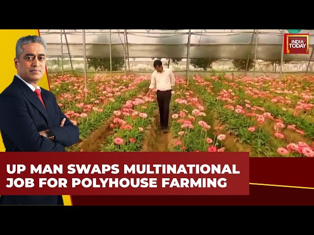 From Corporate to Cultivation: UP Man's Successful Transition to Polyhouse Farming