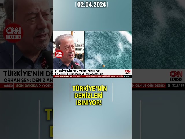 Tehlike Geri Dönüyor: Müsilaj! Uzmanların Uyarısına Göre Deniz Anaları Ve Müsilaj Artabilir...