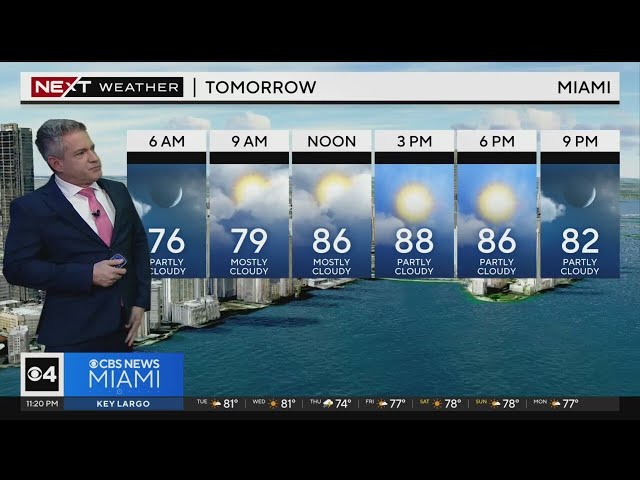 Miami weather for Tuesday 4/2/24 11PM