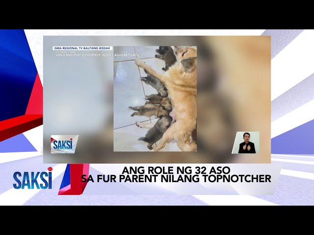 SAKSI RECAP: Ang role ng 32 aso sa fur parent nilang topnotcher