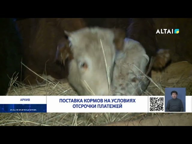 Поставка кормов на условиях отсрочки платежей