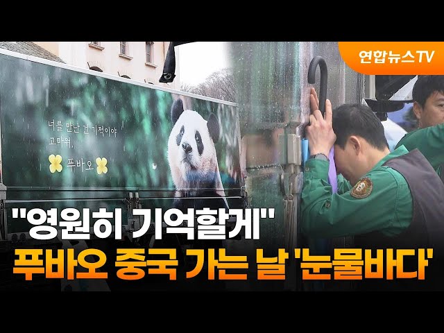 "영원히 기억할게"…푸바오 중국 가는 날 '눈물바다' / 연합뉴스TV (YonhapnewsTV)