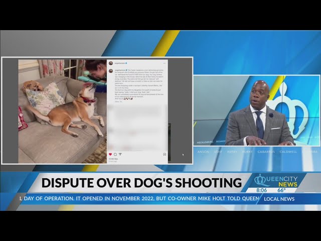 Analysis: Rhodes on dispute over fatal dog shooting