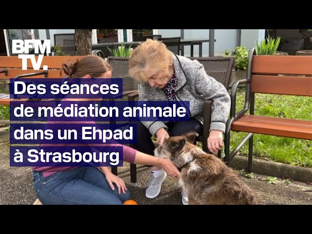 ⁣Strasbourg: des séances de médiation animale proposées dans un Ehpad