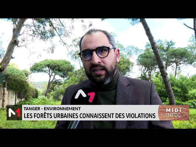 ⁣Tanger : les forêts urbaines connaissent des violations