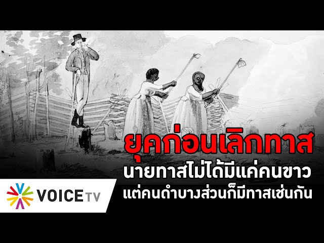 ⁣สหรัฐฯ ยุคก่อนเลิกทาส นายทาสไม่ได้มีแค่คนขาว แต่คนดำบางส่วนก็มีทาสเช่นกัน - The Daily Dose