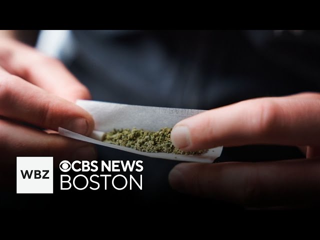 Governor's council to vote on Gov. Healey's marijuana pardons proposal and more top storie