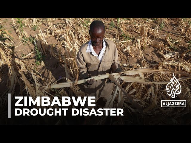 Zimbabwe drought: Government declares state of emergency