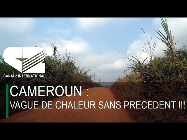 CAMEROUN : VAGUE DE CHALEUR SANS PRECEDENT !!! ( DEBRIEF DE L'ACTU du Mardi 03/04/2024 )