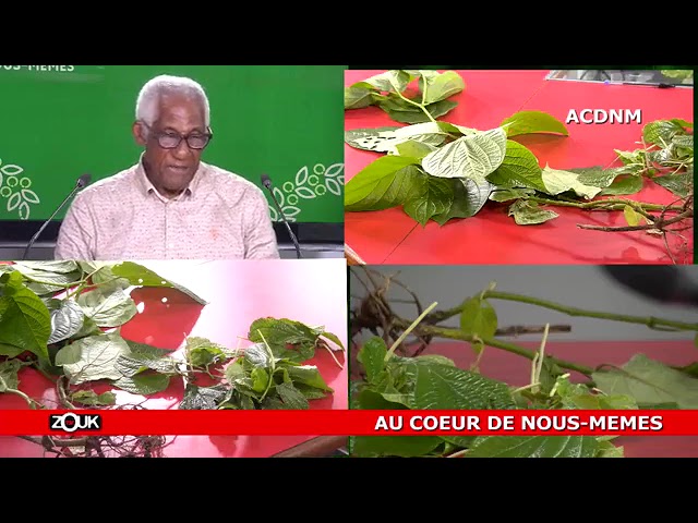 AU COEUR DE NOUS-MEMES - LE MALEMBE - 3 AVRIL 2024