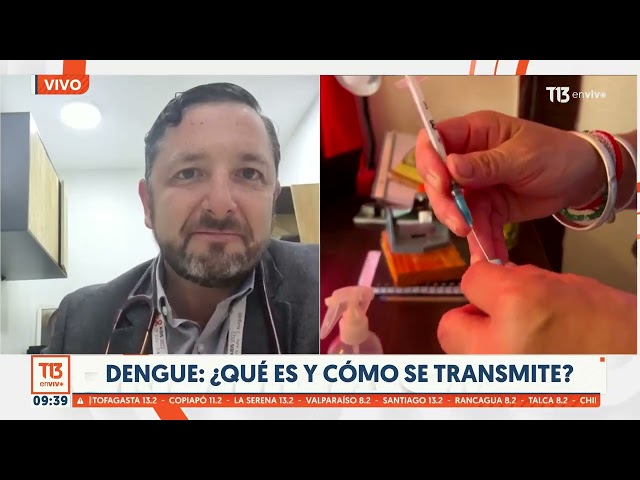 ⁣¿Cómo prevenir el dengue? Revisamos la situación en Chile de este virus